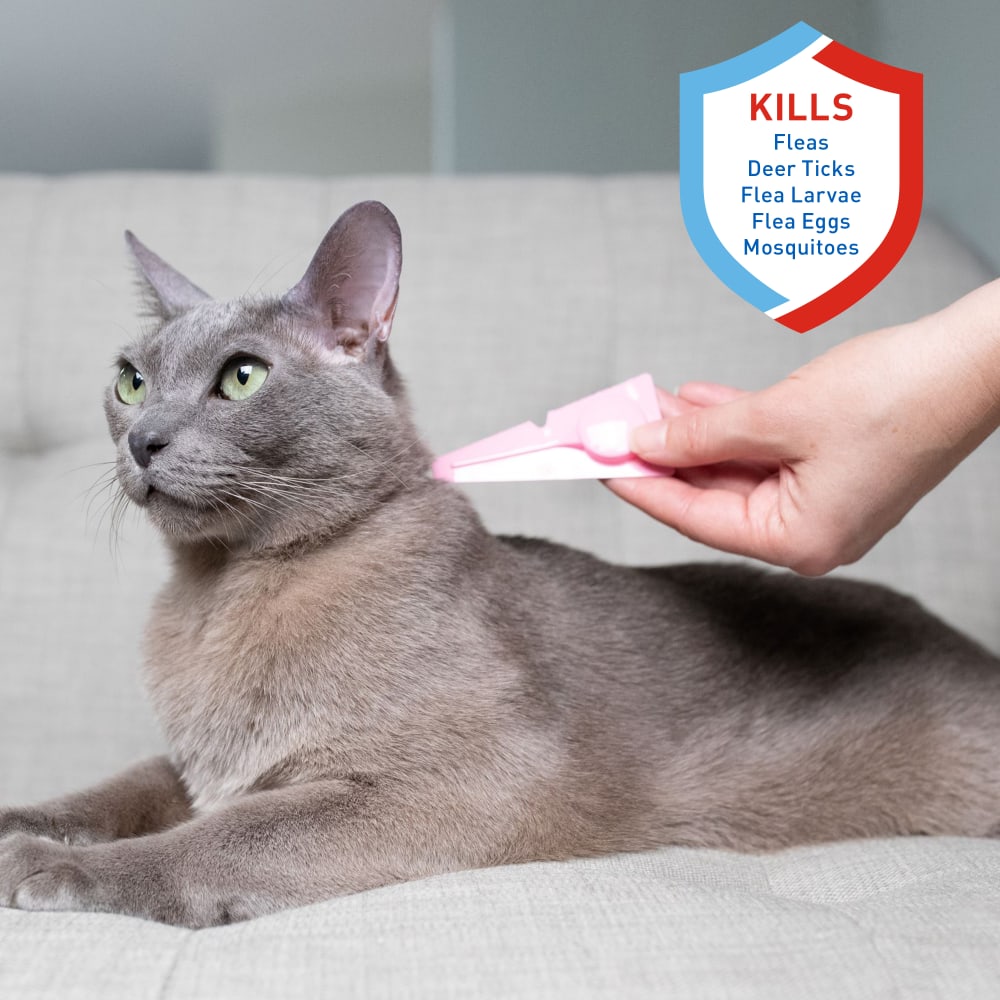adams plus flea & tick spot on for cats 5 lbs and over