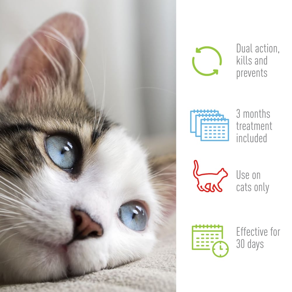 adams plus flea & tick spot on for cats 5 lbs and over