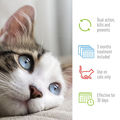 ADAMS Plus Flea & Tick Spot On for Cats 5 lbs and Over