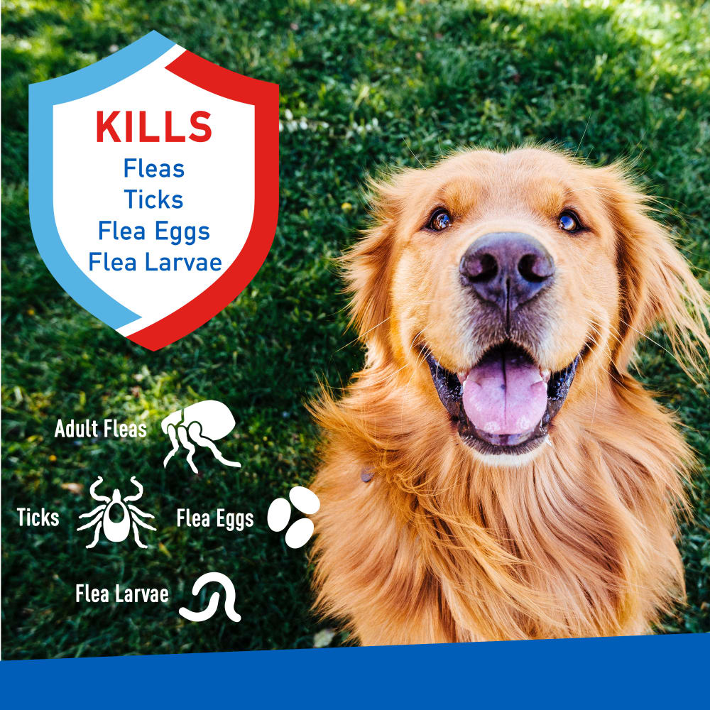 adams plus flea & tick spray, 8 oz