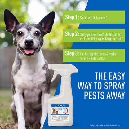 ADAMS Plus Flea & Tick Spray, 8 oz