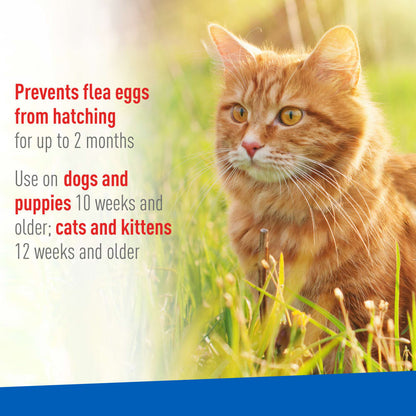 ADAMS Plus Flea & Tick Spray, 8 oz