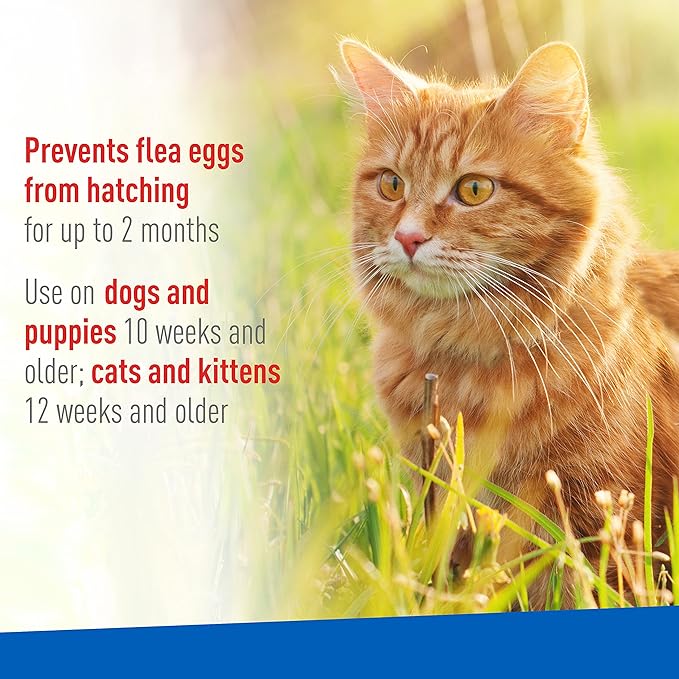 ** adams flea & tick spray 16oz