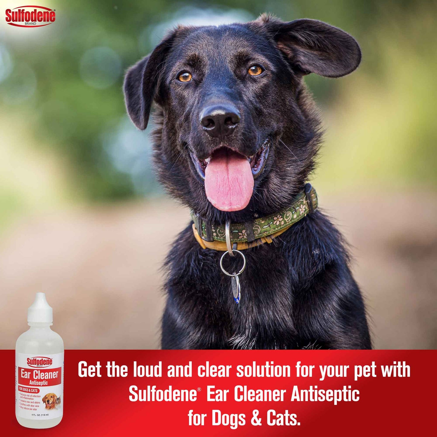 sulfodene ear cleaner antiseptic for dogs and cats, 4 oz