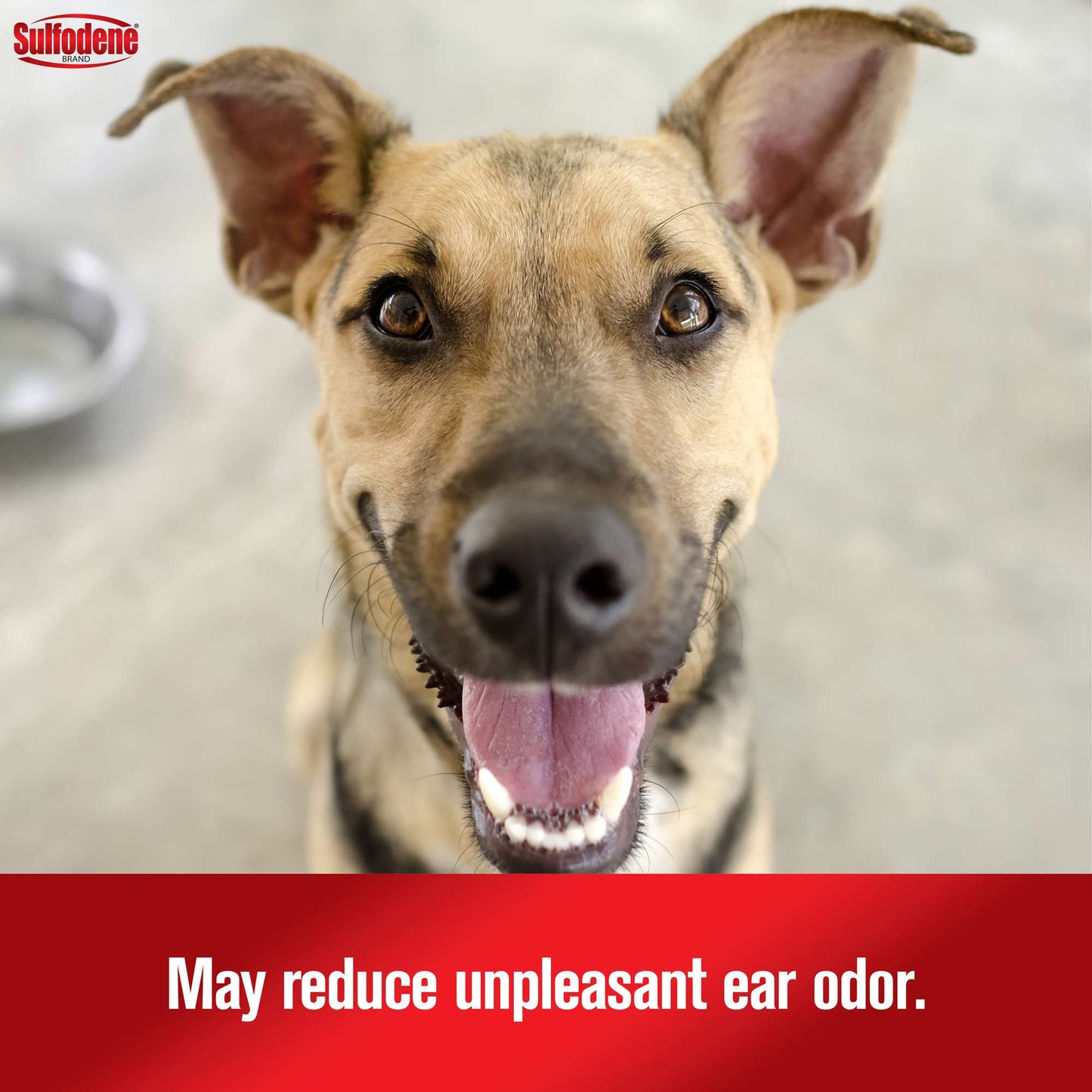 sulfodene ear cleaner antiseptic for dogs and cats, 4 oz
