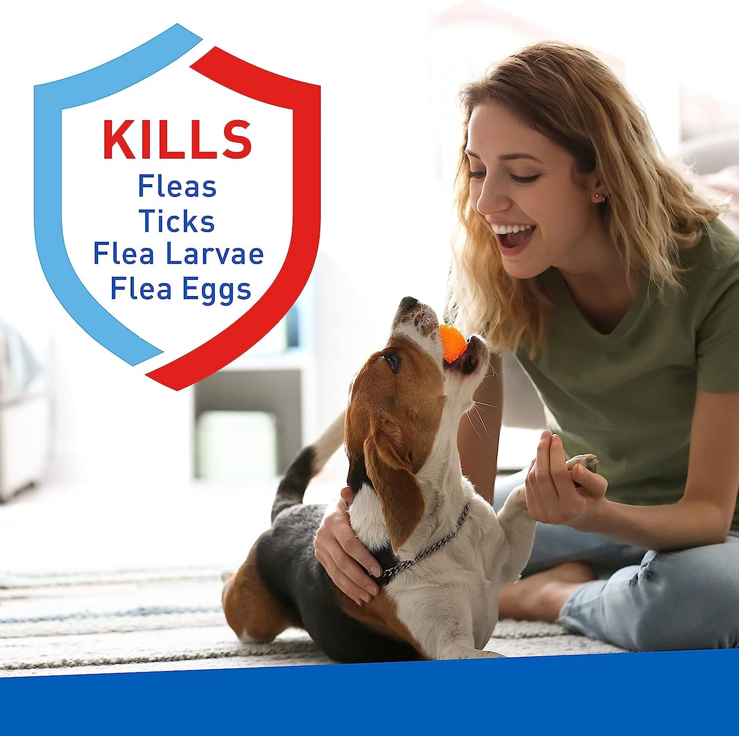 adams plus flea & tick carpet powder, 16oz