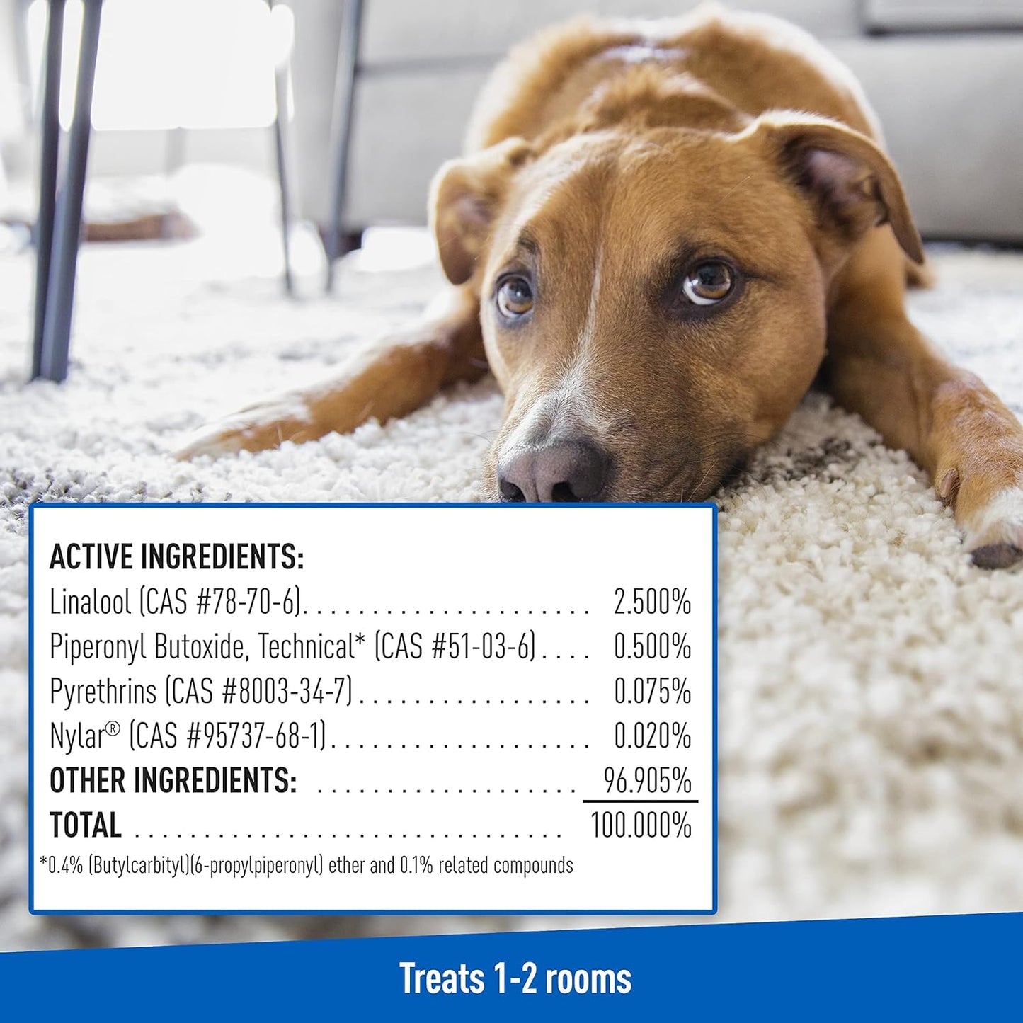 adams plus flea & tick carpet powder, 16oz