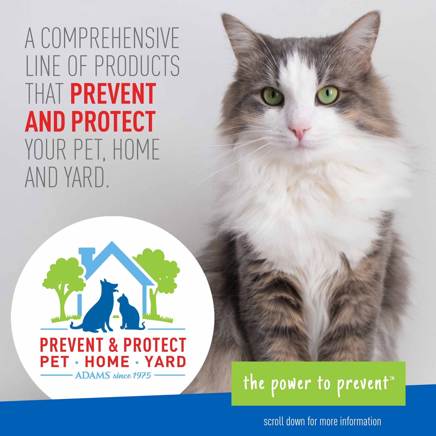 adams plus flea & tick carpet powder, 16oz