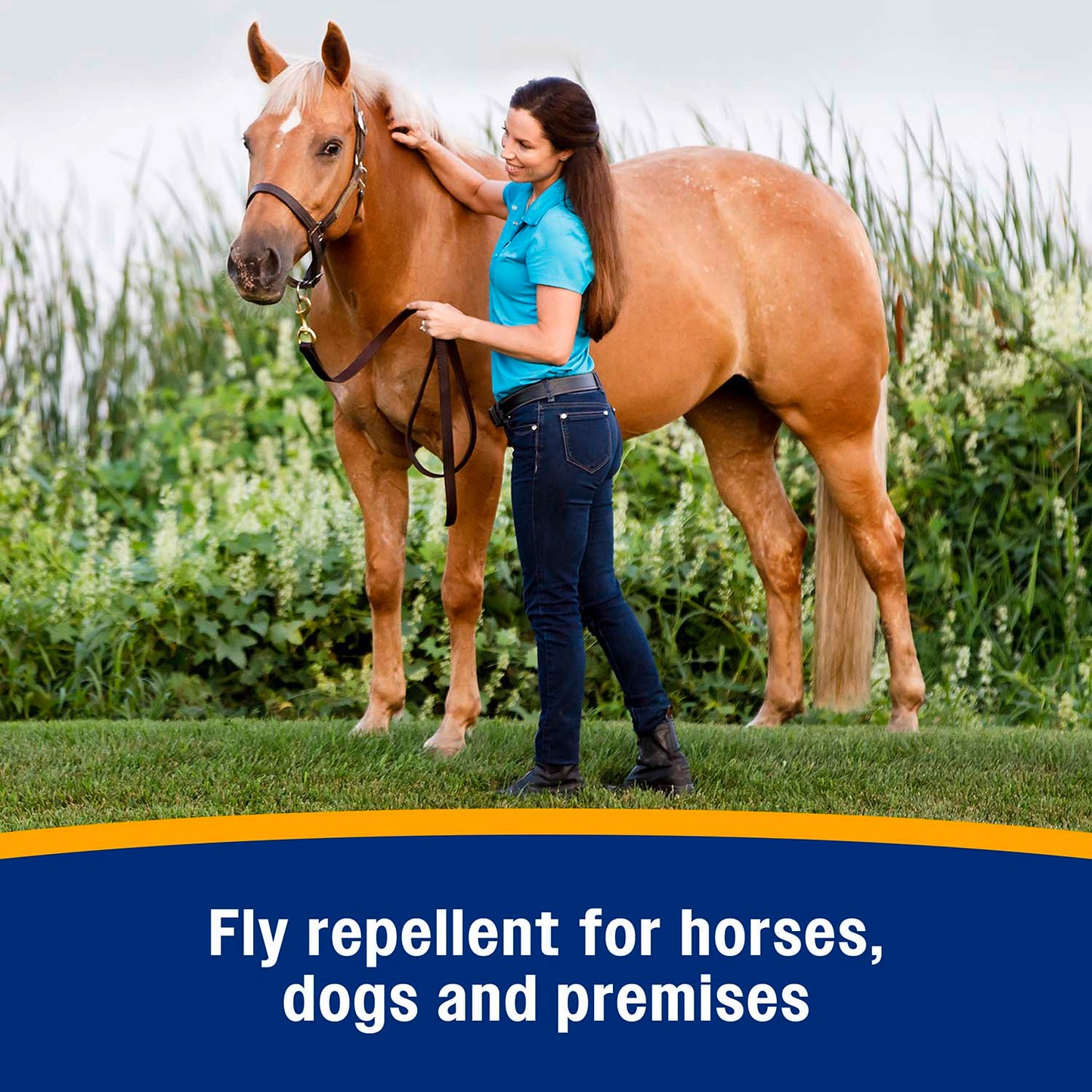 bronco equine fly spray plus citronella scent, gallon