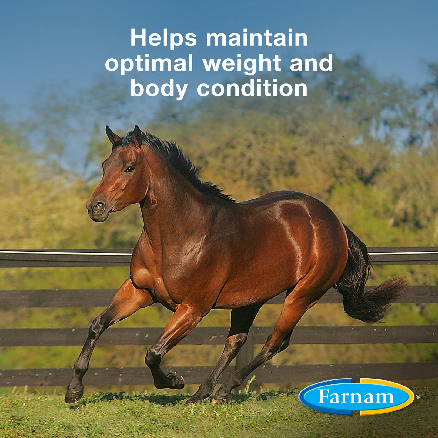farnam weight builder, 30 day supply