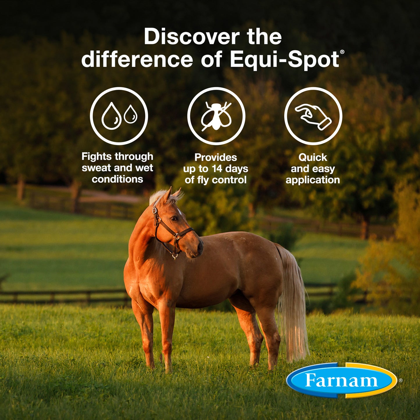 farnam equi-spot topical fly control for horses, 3 doses (10 ml each)
