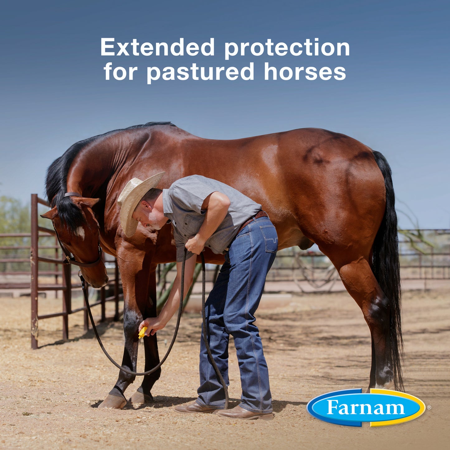 farnam equi-spot topical fly control for horses, 3 doses (10 ml each)