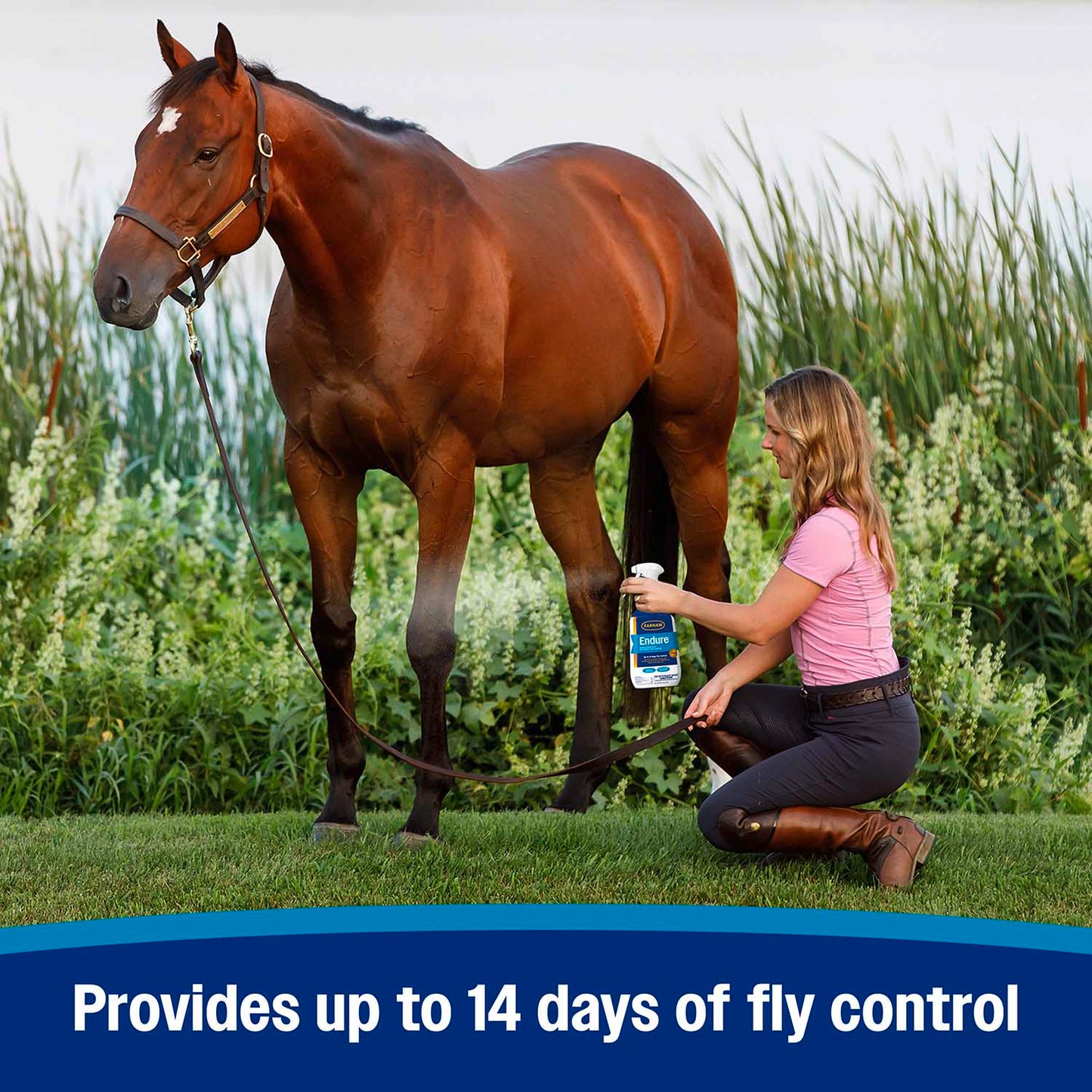 endure sweat-resistant fly spray, 32 oz