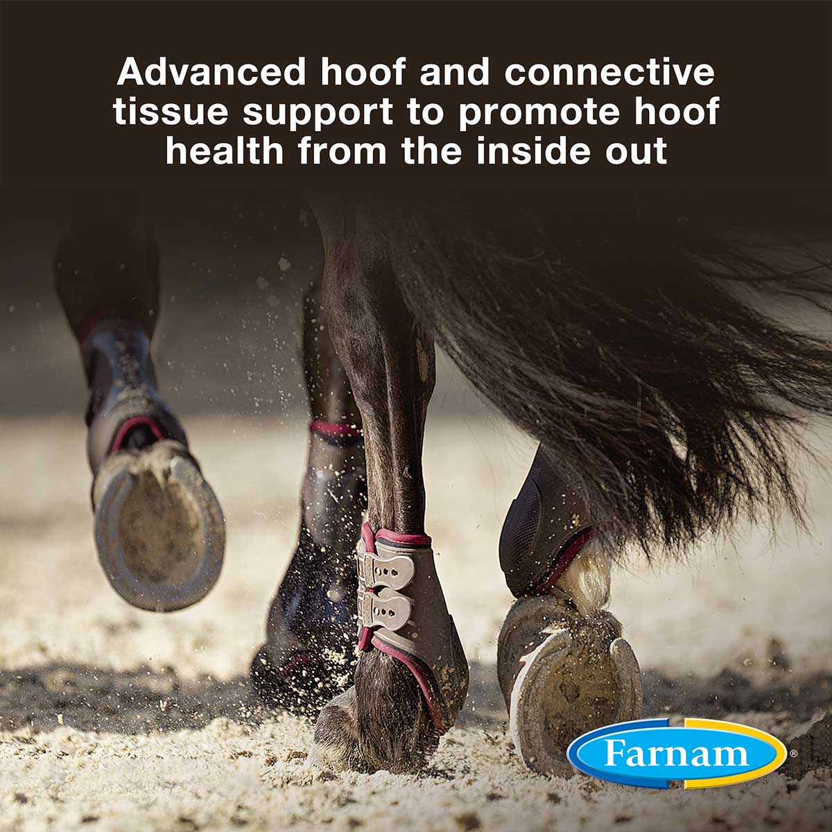 horseshoer's secret extra strength hoof & connective tissue supplement, 3.75 lb