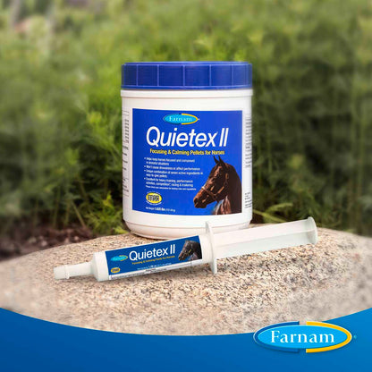 Quietex II, Paste, 32.5 ml
