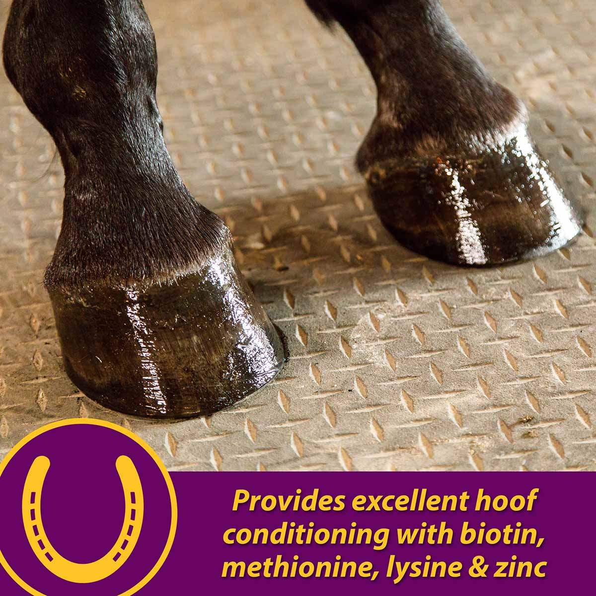 joint combo hoof & coat, 8 lb