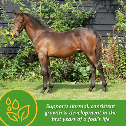 Grow Colt, 3.75 lb