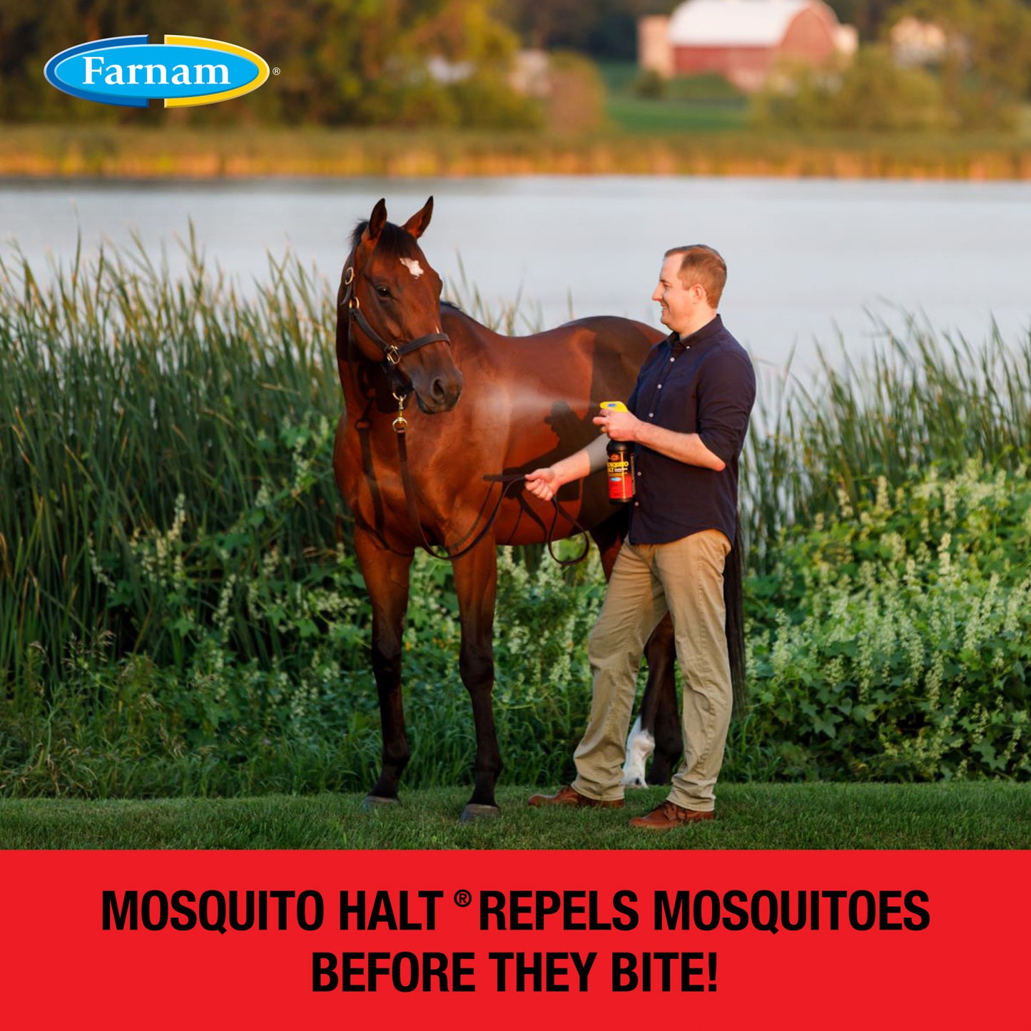 ** mosquito halt, 32 oz
