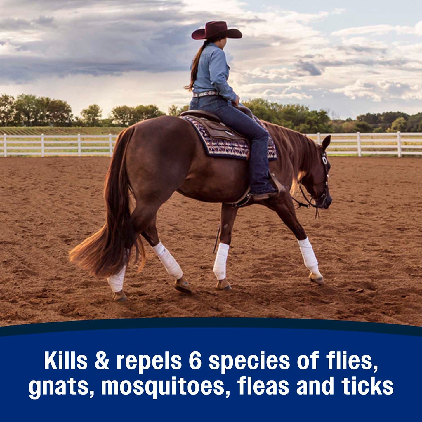 rtu repel-x fly spray, quart