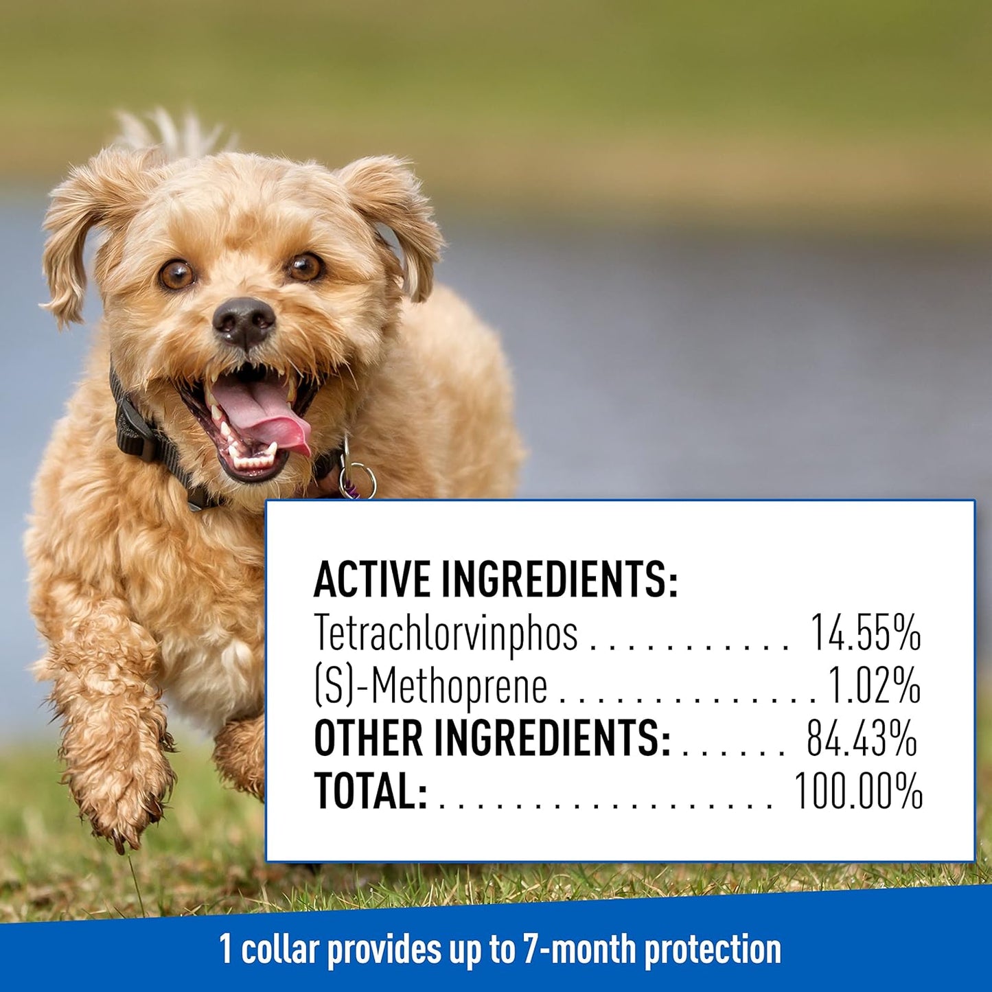 adams plus f/t collars for dogs - small