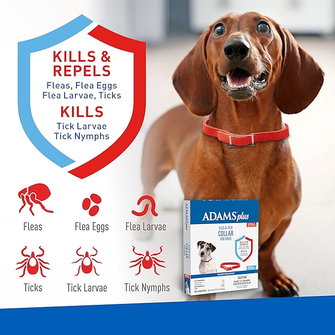 adams plus f/t collars for dogs - small
