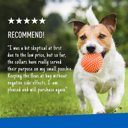 Adams Plus F/T Collars for Dogs - Small