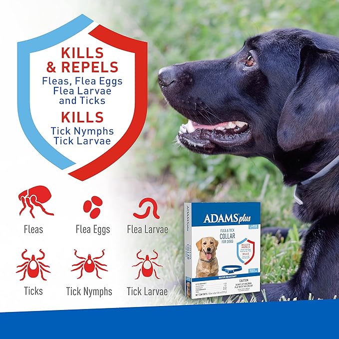 adams plus f/t collars for dogs - large
