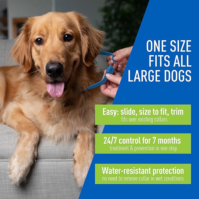 adams plus f/t collars for dogs - large