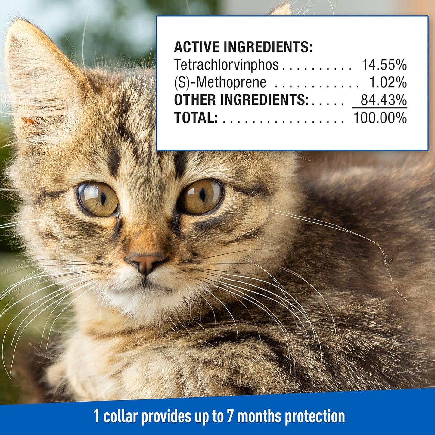 adams plus f/t collars for cats