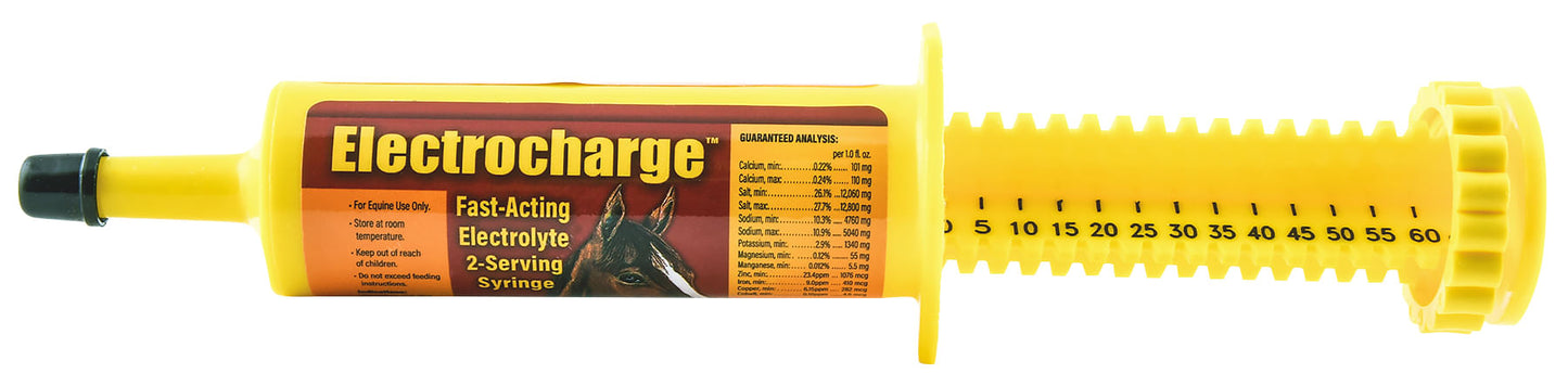 electrocharge 60cc