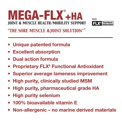 Mega-Flx +HA - Sore Muscle/Joint Liquid, 32 oz