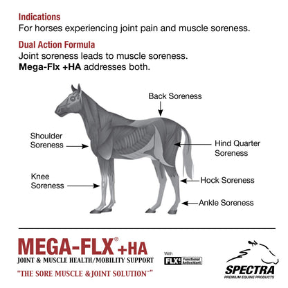 Mega-Flx +HA - Sore Muscle/Joint Liquid, 32 oz