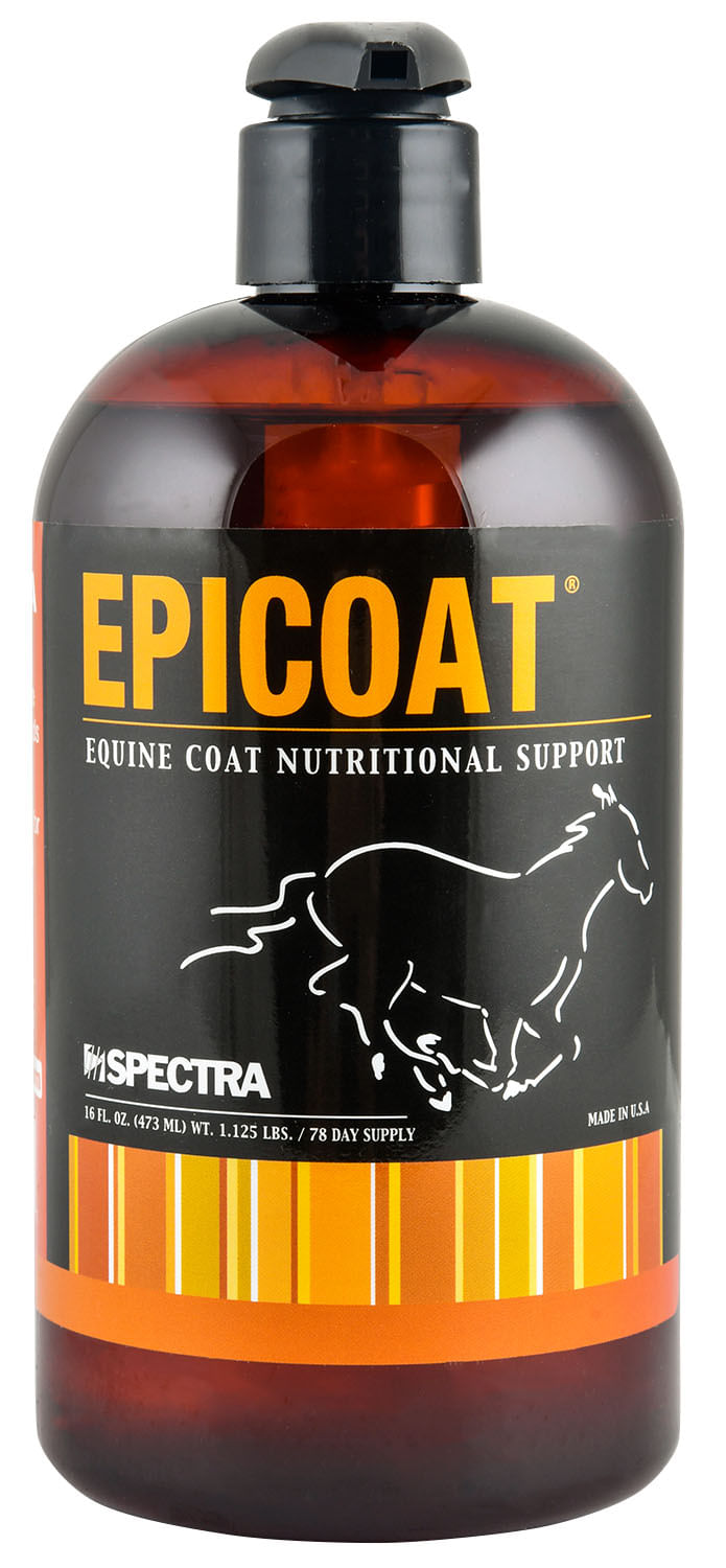 epicoat, 16 oz