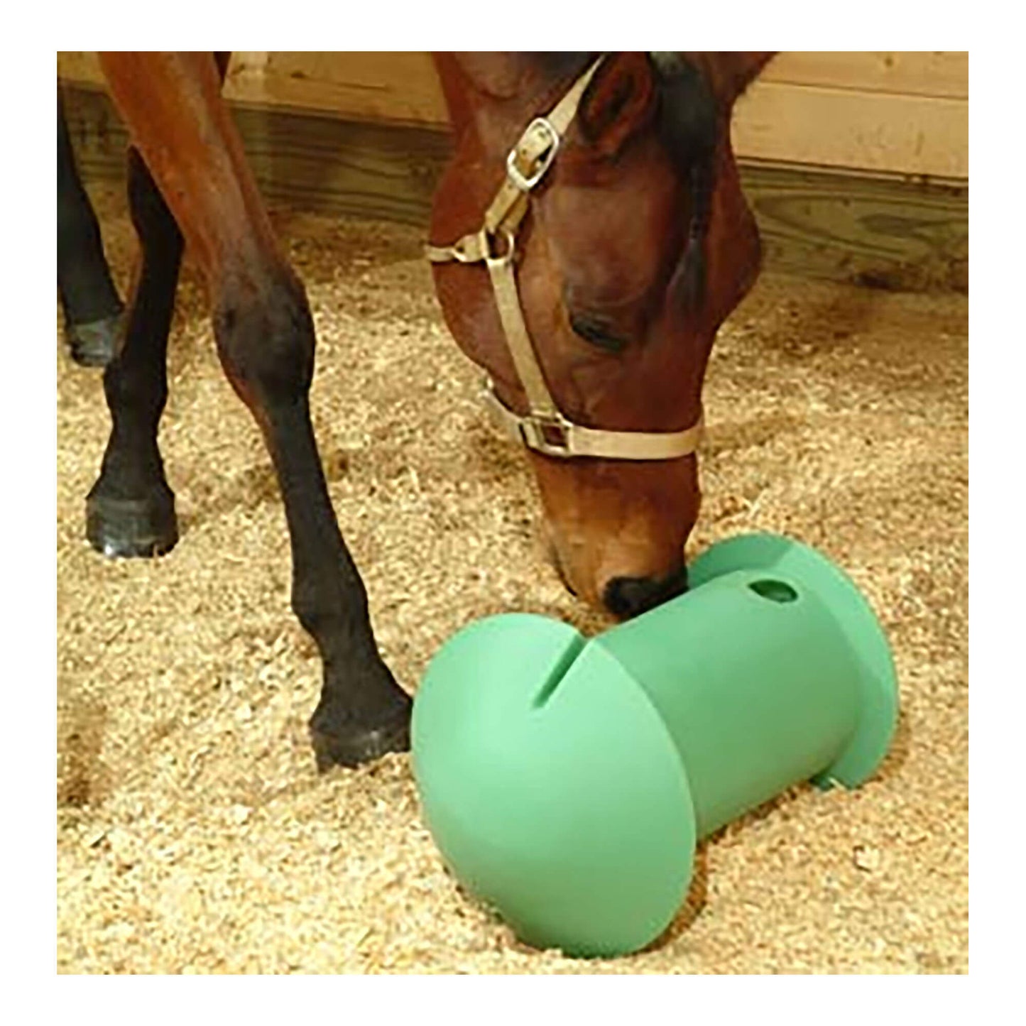 amazing graze equine treat dispenser