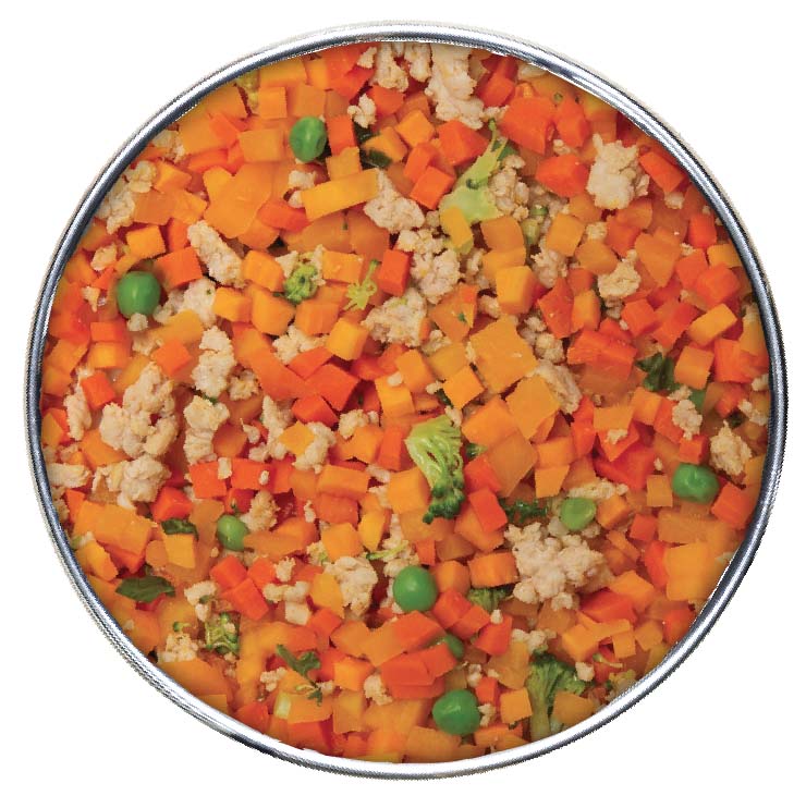 gently cooked grain free vegetarian recipe pouches for dogs -3oz