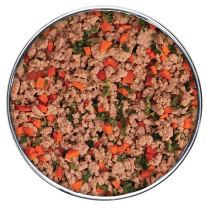 Gently Cooked Grain Free Duck & Kale Recipe Pouches for Dogs -9oz