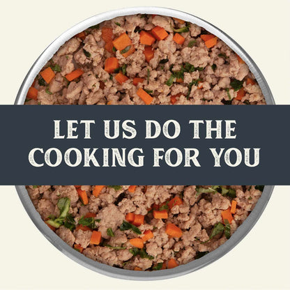 Gently Cooked Grain Free Salmon Recipe 9oz Pouches for Dogs -9oz