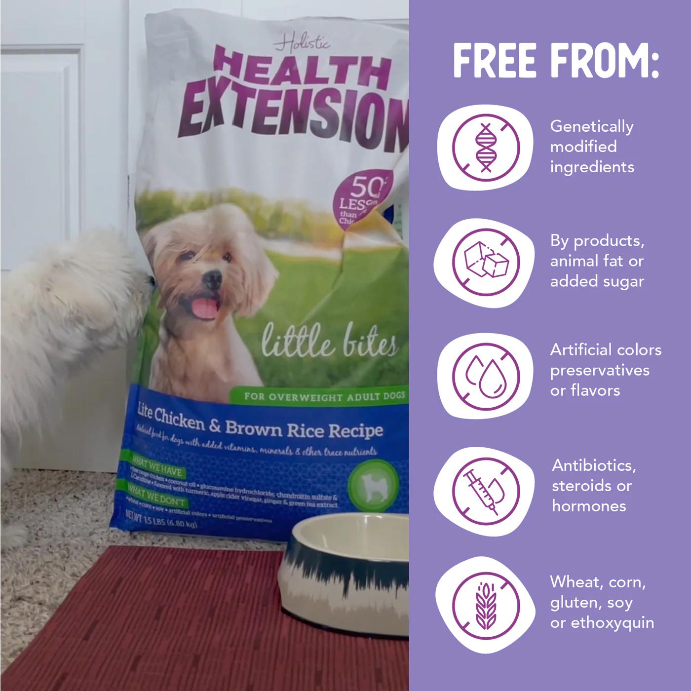 health extension little bites lite chicken & brown rice recipe dry dog food 15lb