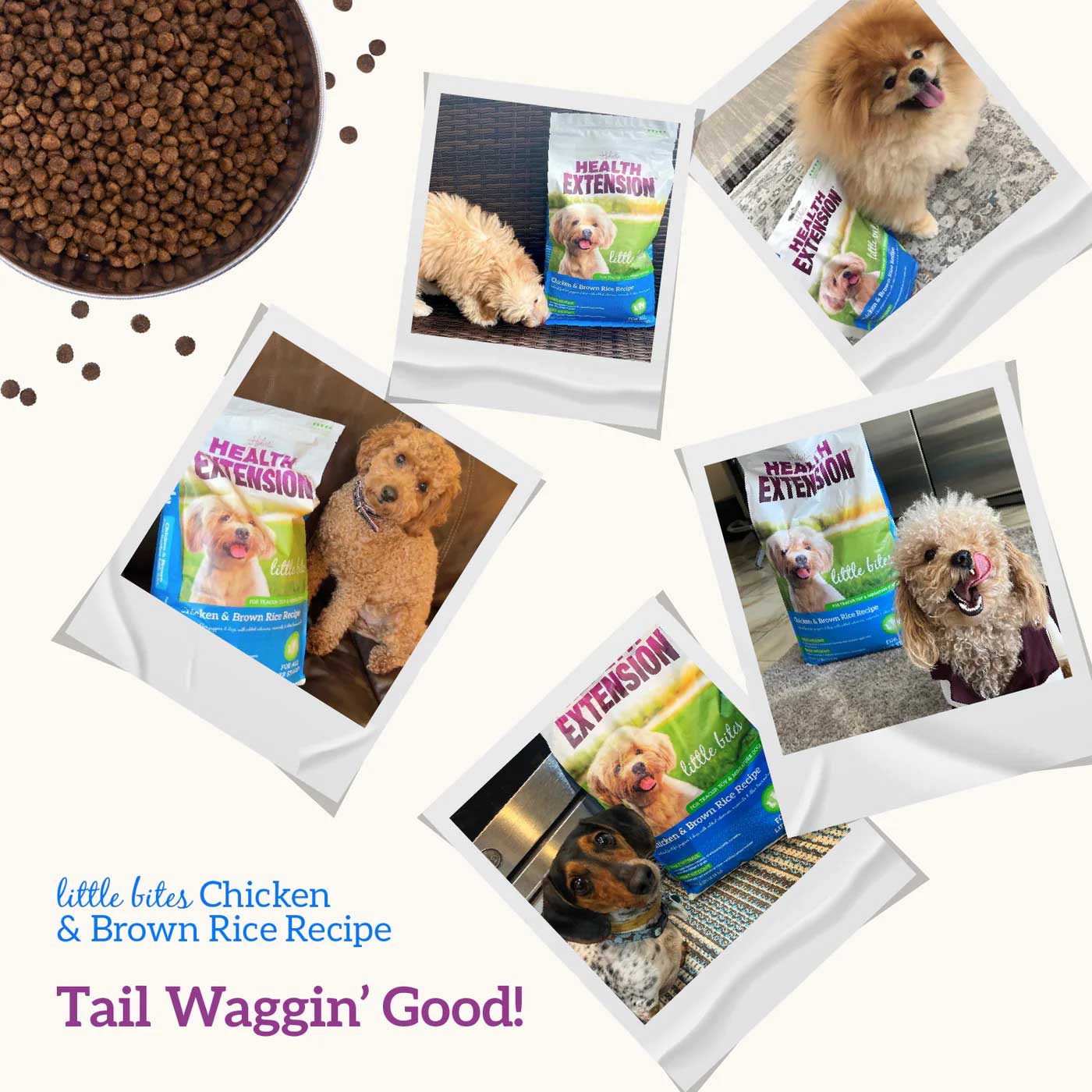 health extension little bites chicken & brown rice recipe dry dog food 4lb