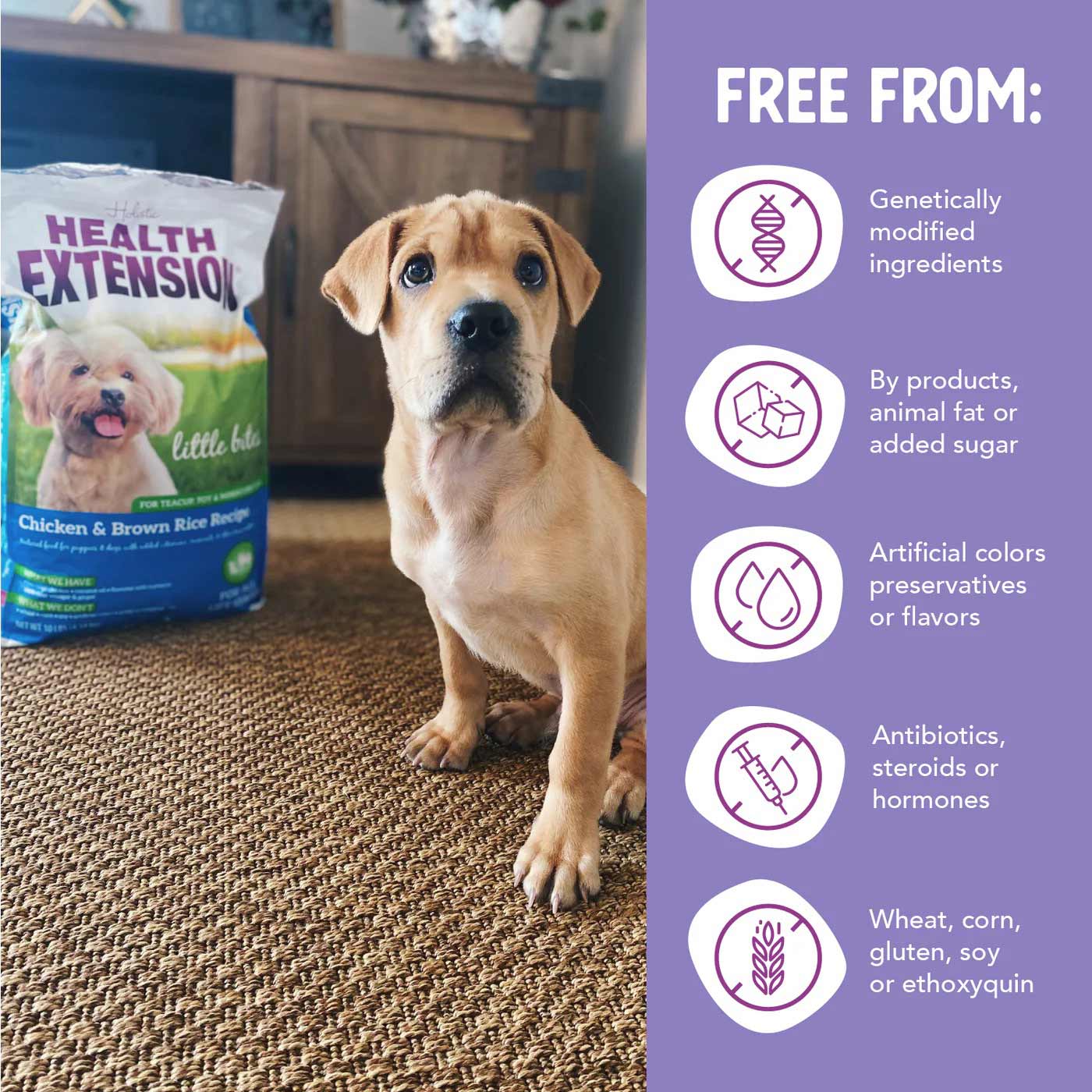health extension little bites chicken & brown rice recipe dry dog food 18lb
