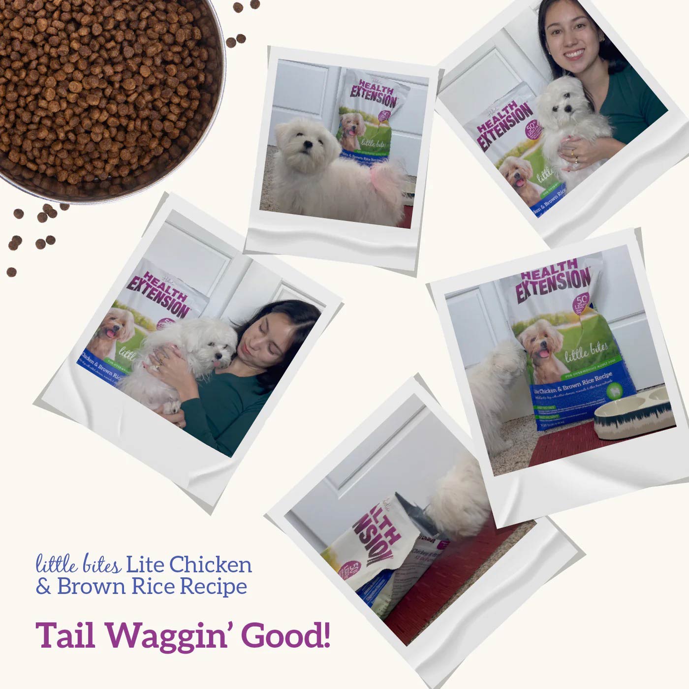 health extension little bites lite chicken & brown rice recipe dry dog food 4lb