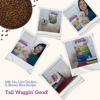 Health Extension Little Bites Lite Chicken & Brown Rice Recipe Dry Dog Food 4lb