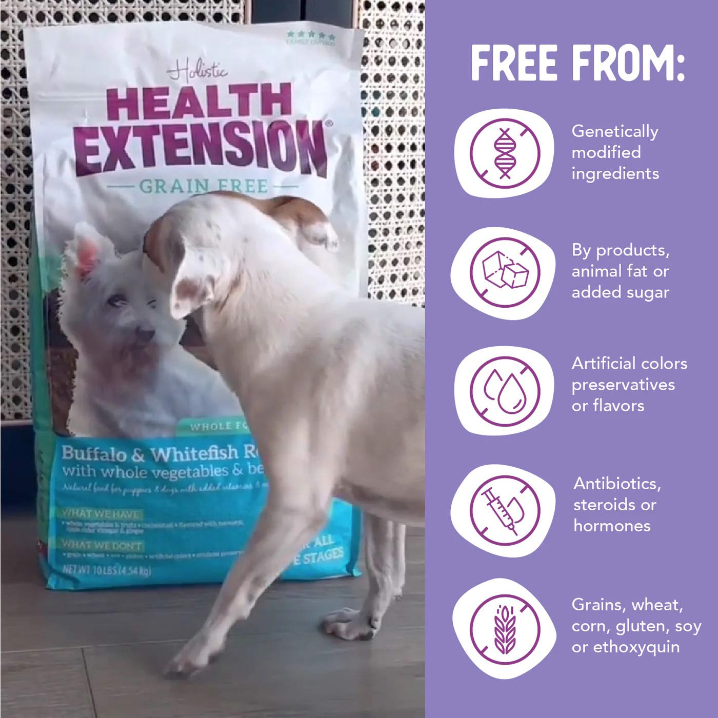 health extension grain free buffalo & whitefish little bites dry dog food 3.5lb