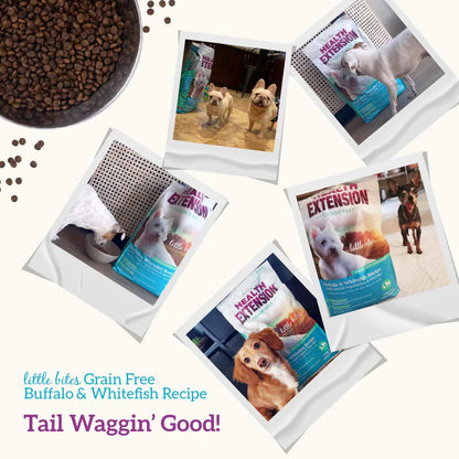 Health Extension Grain Free Buffalo & Whitefish Little Bites Dry Dog Food 10lb