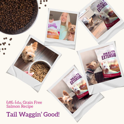 Health Extension Grain Free Salmon Little Bites Dry Dog Food 12lb