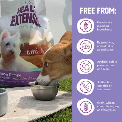 Health Extension Grain Free Venison Little Bites Dry Dog Food 12lb