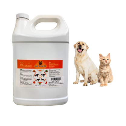 Healthy Paw Life's Lime Sulfur Dip, 1 Gallon