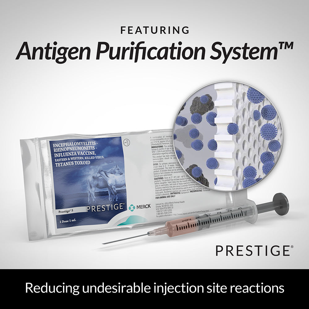 prestige 5, single dose