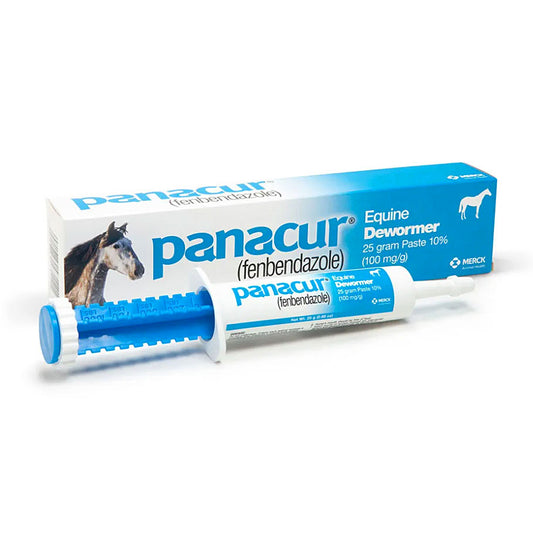 Panacur Dewormer Horse Paste 10%, 100mg | Single