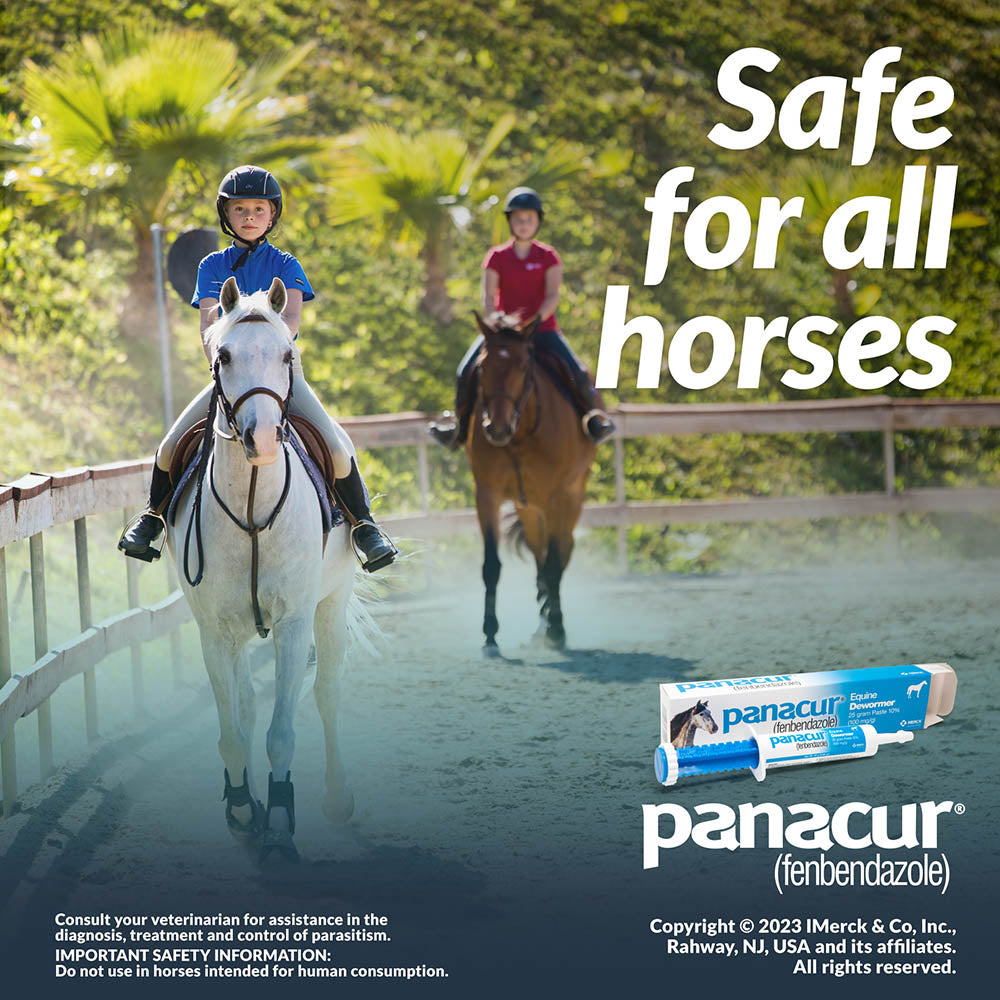 panacur dewormer horse paste 10%, 100mg | single